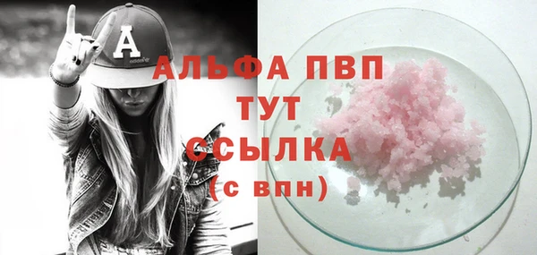 крисы Абаза