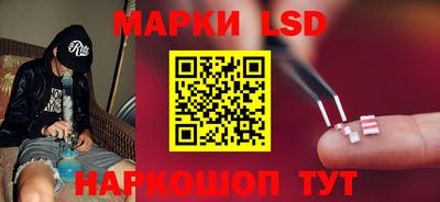 прущие грибы Апшеронск