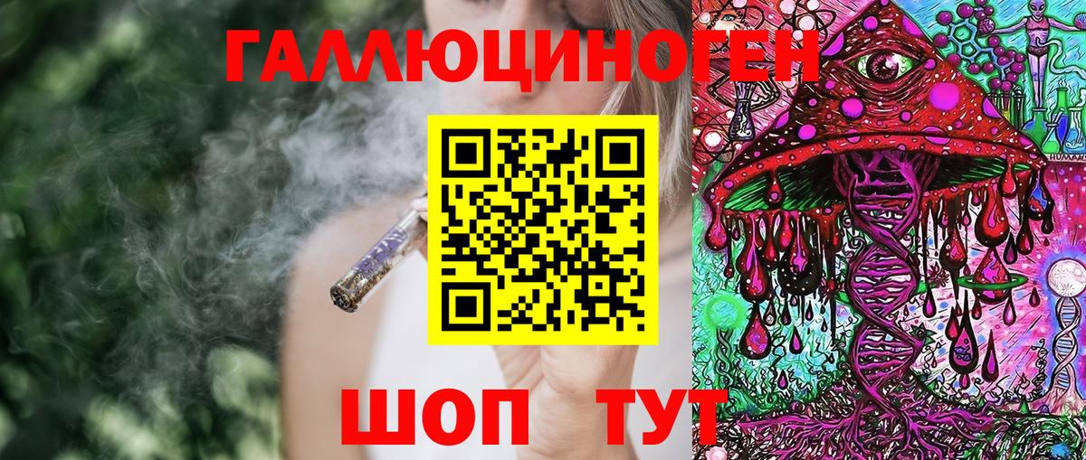 Галлюциногенные грибы Psilocybe Екатеринбург